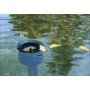 Skimmeris AquaSkim 40